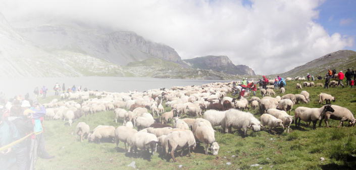 Bauernvereinigung Oberwallis