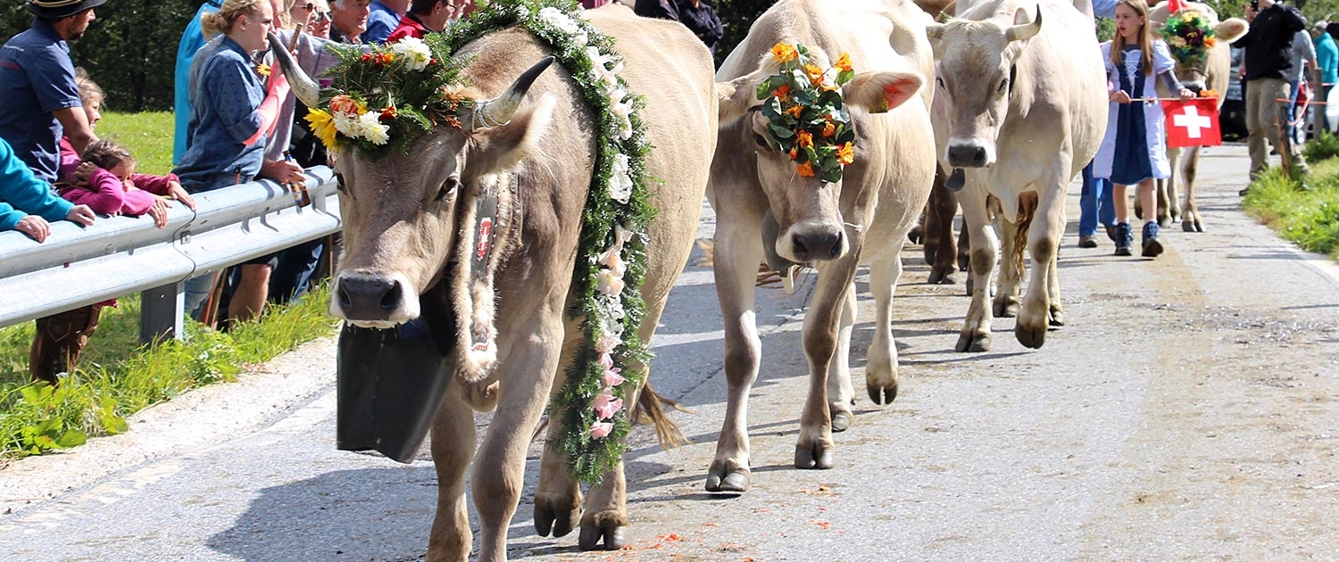 Bauernvereinigung Oberwallis