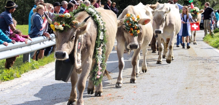 Bauernvereinigung Oberwallis