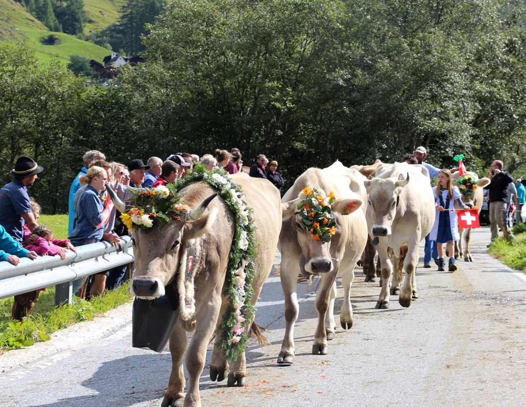 Bauernvereinigung Oberwallis