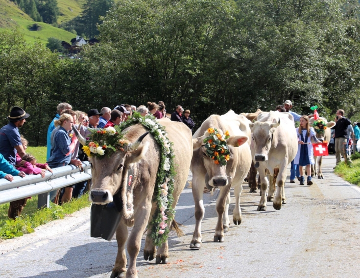 Bauernvereinigung Oberwallis